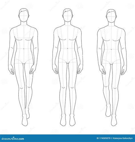 drawing the male figure